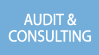 audit-consulting