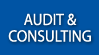 audit-consulting